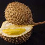 Durian Fruit